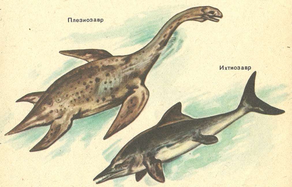 Ихтиозавр первичноводное