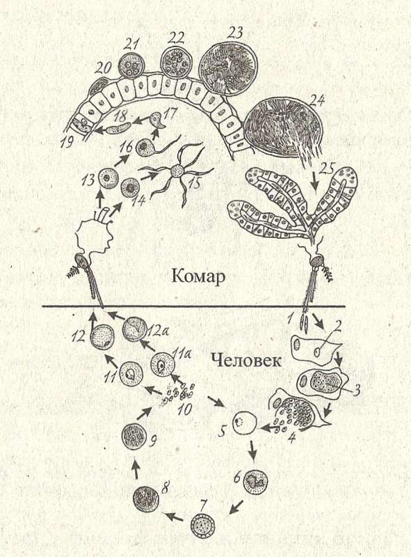 Казахстана